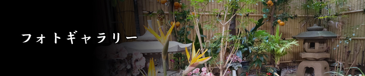 フォトギャラリー