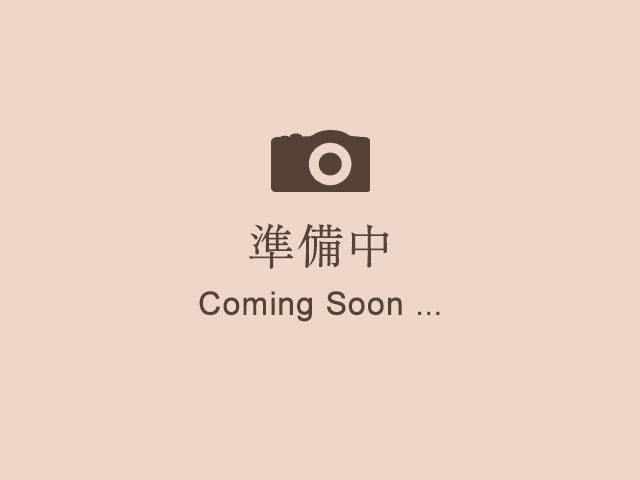 ただいまのおすすめメニュー かき氷